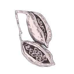 לוגו של דיאלוג עם הרחם - עינת לב