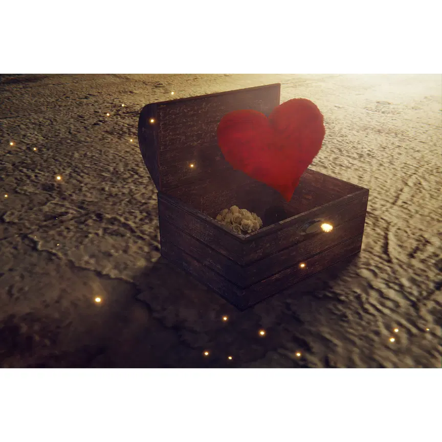 לוגו של מירב דמרי